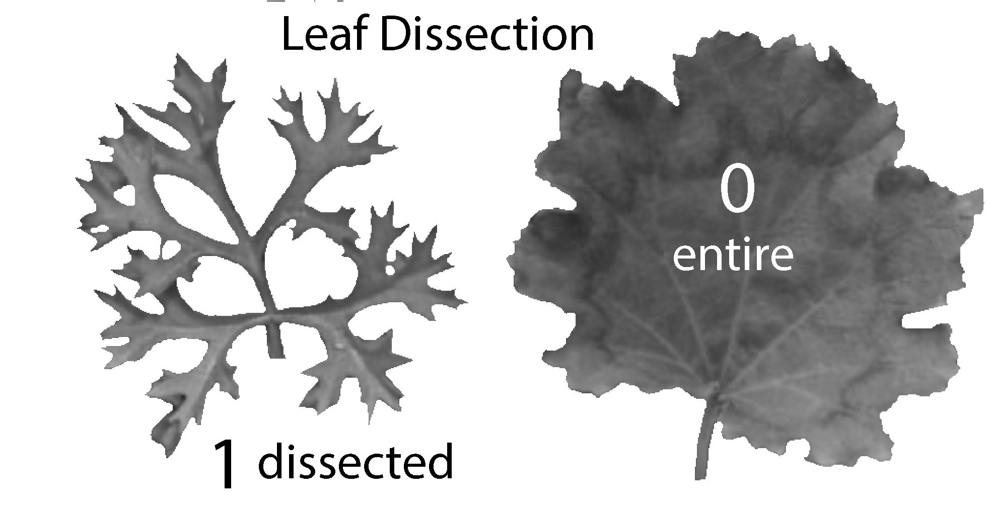 From Fig. 1E and 1F of the paper