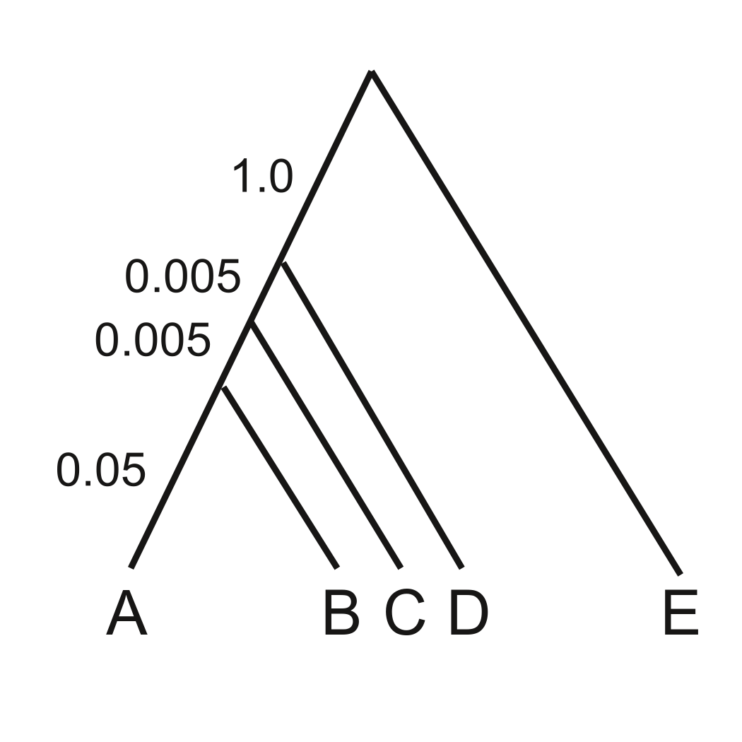 Figure 2a (redrawn) from Liu and Edwards (2009). Edge lengths are in expected substitutions per site.